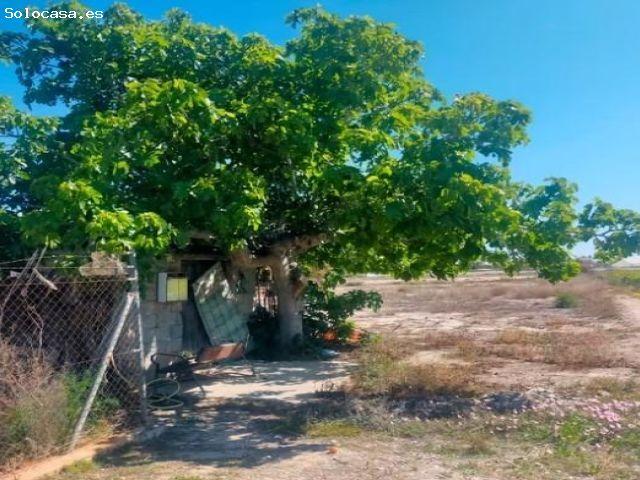 Local Comercial en venta en el Baix Vinalopó, Valencia