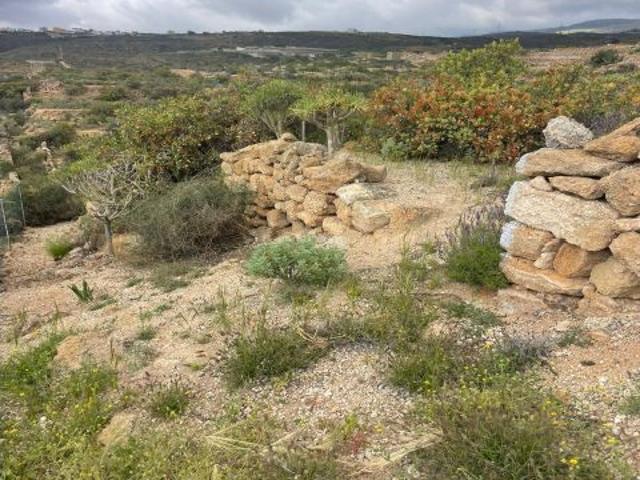 Local Comercial en venta en Arico, Canarias