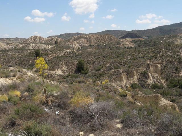 Terreno en venta en Cañadas de San Pedro, Área Metropolitana de Murcia