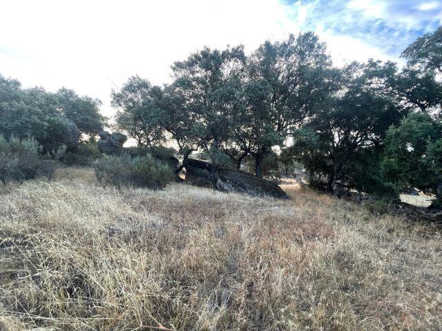 Local Comercial en venta en Aldea Del Cano, Extremadura