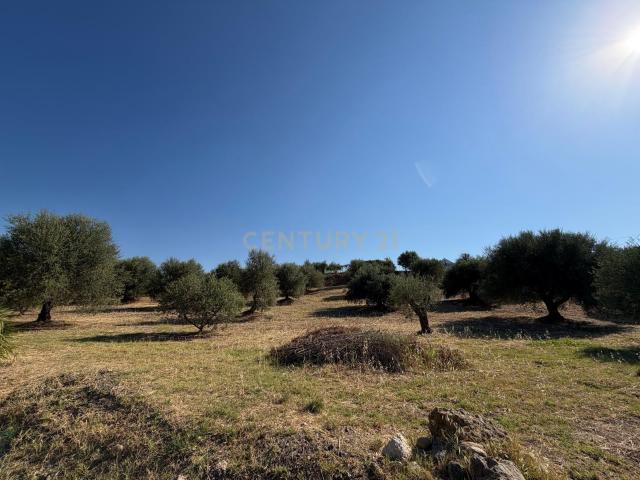 Terreno en venta en Entrerríos, Costa del Sol Occidental