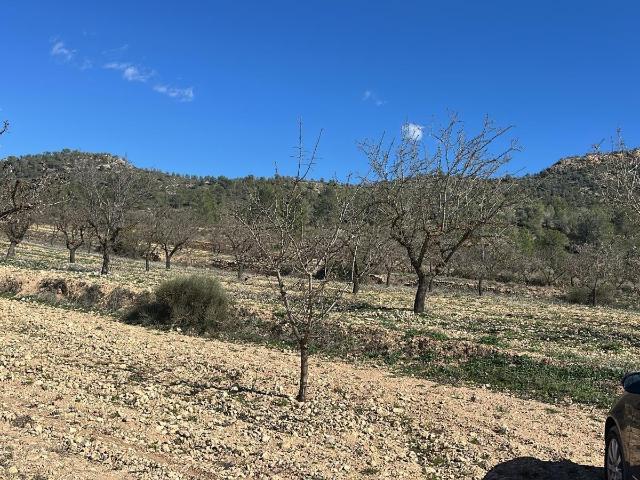 Casa en venta en Monòver / Monóvar, Alacant / Alicante