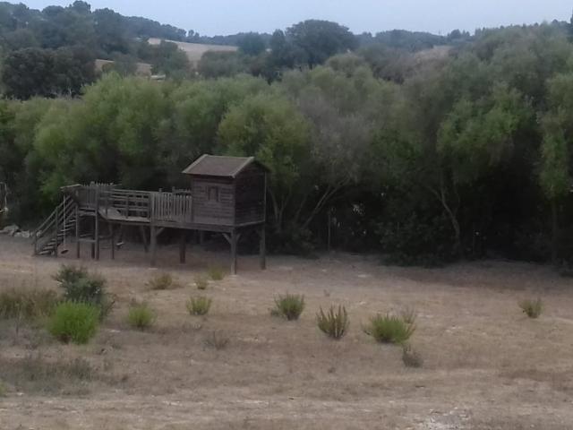 Terreno en alquiler en Montuïri