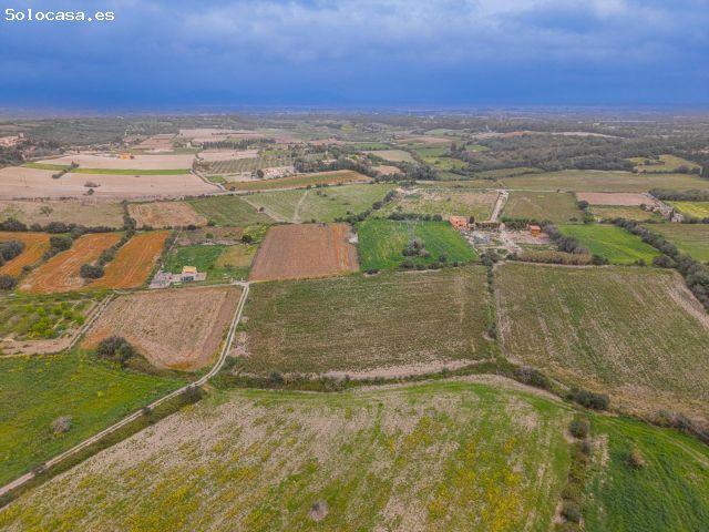 Local Comercial en venta en Pla de Mallorca, Baleares