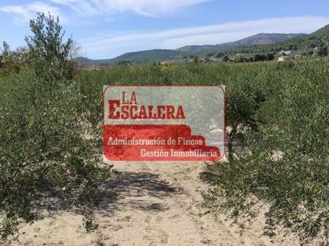 Terreno en venta en l'Alcoià, Valencia