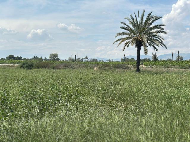 Terreno en venta en la Foia, el Baix Vinalopó
