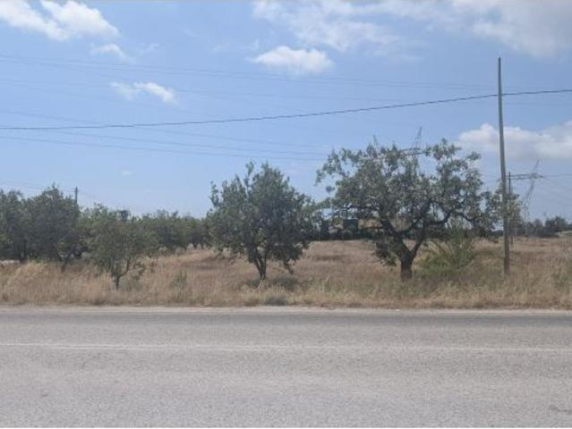 Local Comercial en venta en Maitino, el Baix Vinalopó