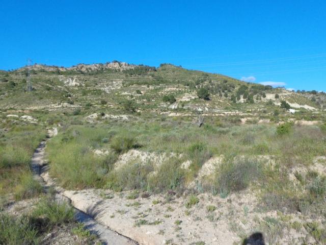 Chalet en venta en el Vinalopó Mitjà / El Vinalopó Medio, Valencia
