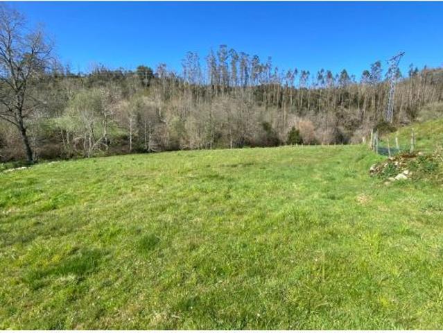 Local Comercial en venta en Roiz, Valdáliga