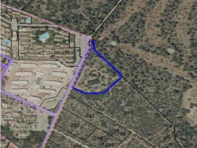 Local Comercial en venta en sa Ràpita, Migjorn