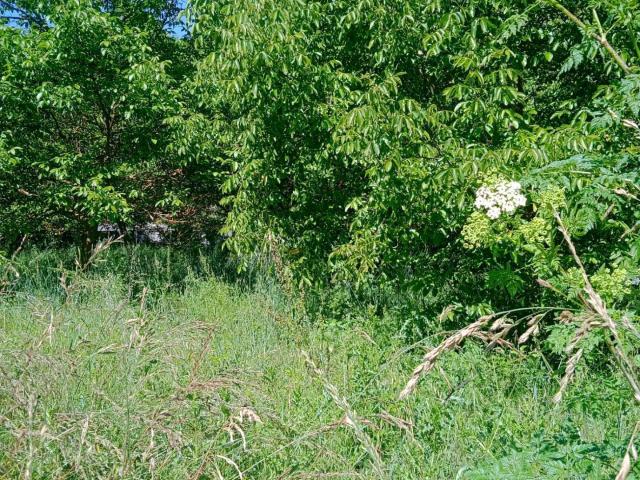 Terreno en venta en Flores del Sil, El Bierzo