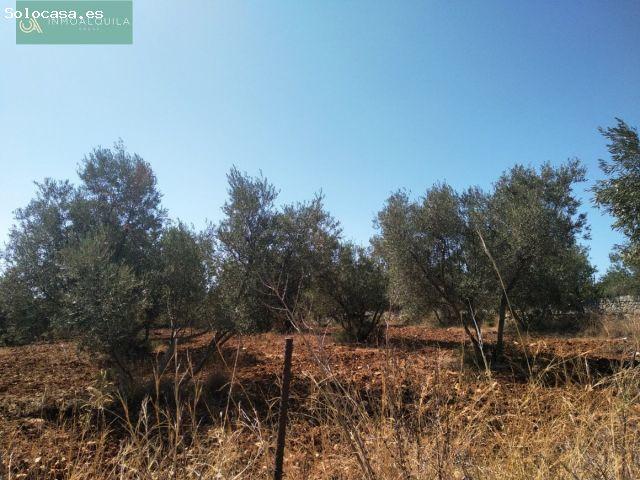 Local Comercial en venta en Raiguer, Baleares