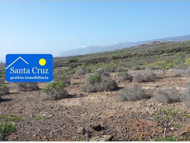 Local Comercial en venta en Pasos Largos, Adeje