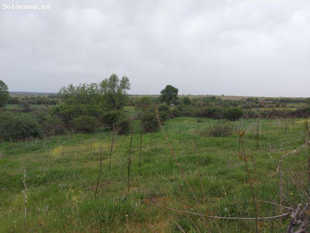 Local Comercial en venta en Sexmo de San Lorenzo, Torrecaballeros