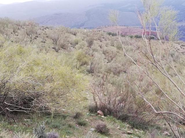 Casa en venta en Comarca de la Alpujarra Granadina, Andalucía