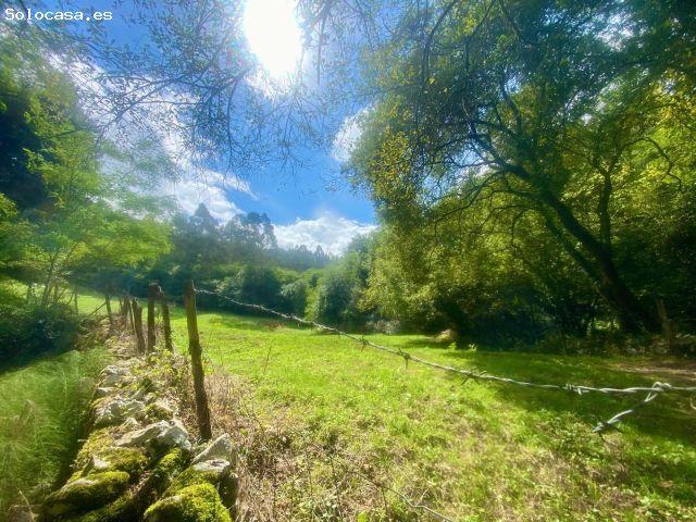 Local Comercial en venta en Alfoz De Lloredo, Cantabria