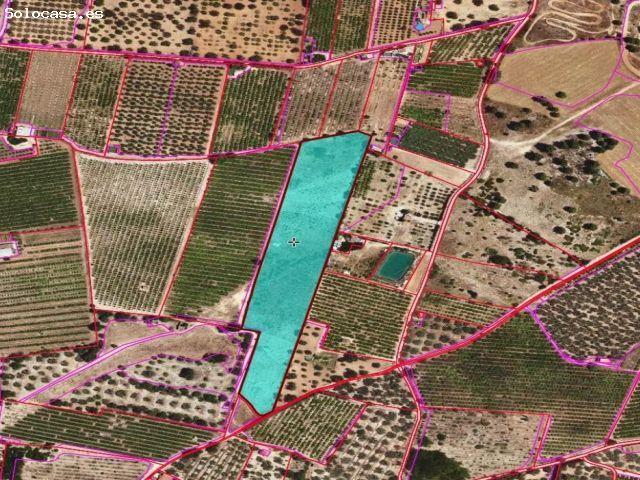 Local Comercial en venta en Montsià, Catalunya