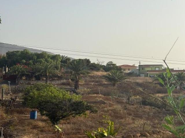 Local Comercial en venta en La Hidalga, Arafo