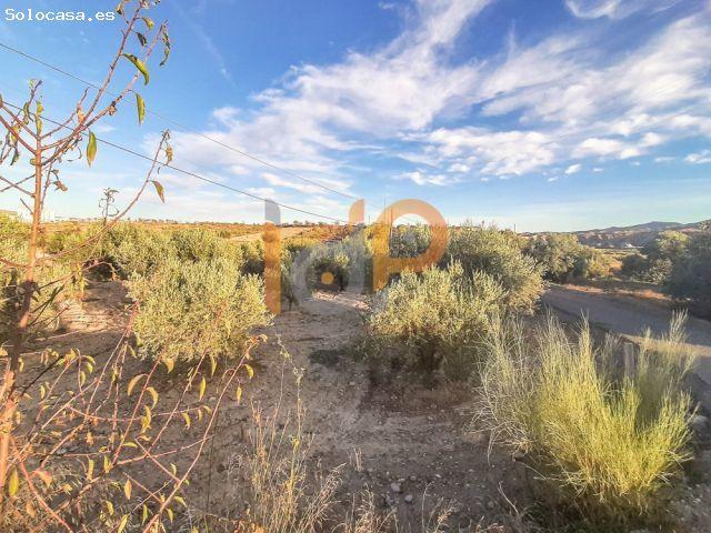 Local Comercial en venta en Los Torres, Valle del Almanzora