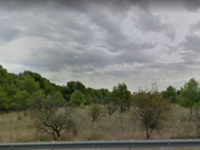Local Comercial en venta en la Plana Alta, Valencia