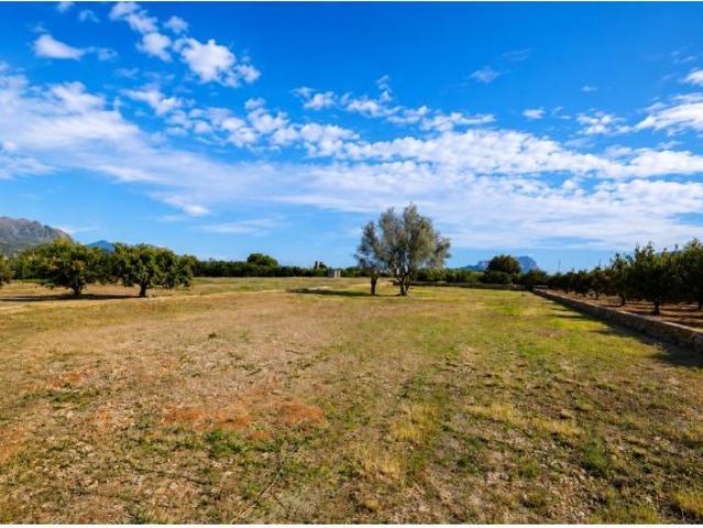 Local Comercial en venta en la Marina Alta, Valencia