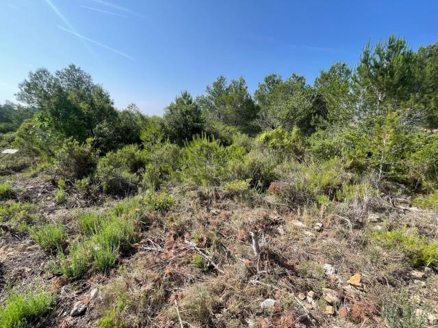 Terreno en venta en Barrio Gila (Maestras Republicanas), La Hoya de Buñol