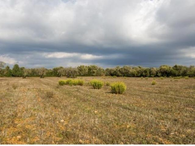 Local Comercial en venta en Migjorn, Baleares