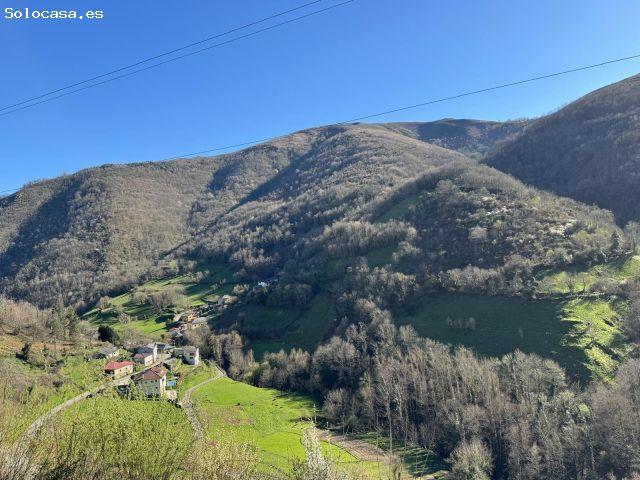 Local Comercial en venta en Cangas Del Narcea, Asturias