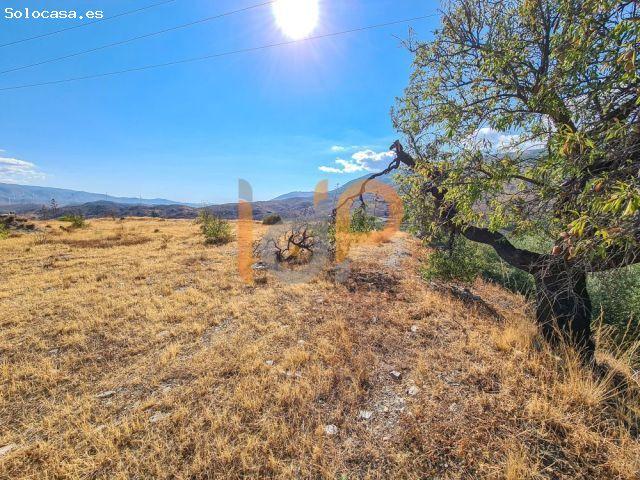 Local Comercial en venta en Abla, Andalucía