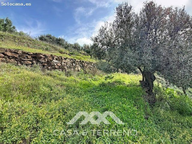 Local Comercial en venta en Capuchinos, La Axarquía