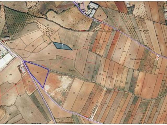 Local Comercial en venta en Mondéjar, Castilla-La Mancha