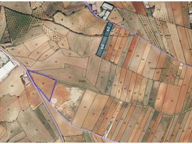 Local Comercial en venta en Mondéjar, Castilla-La Mancha