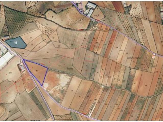 Local Comercial en venta en Mondéjar, Castilla-La Mancha