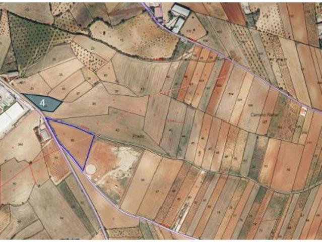 Local Comercial en venta en Mondéjar, Castilla-La Mancha