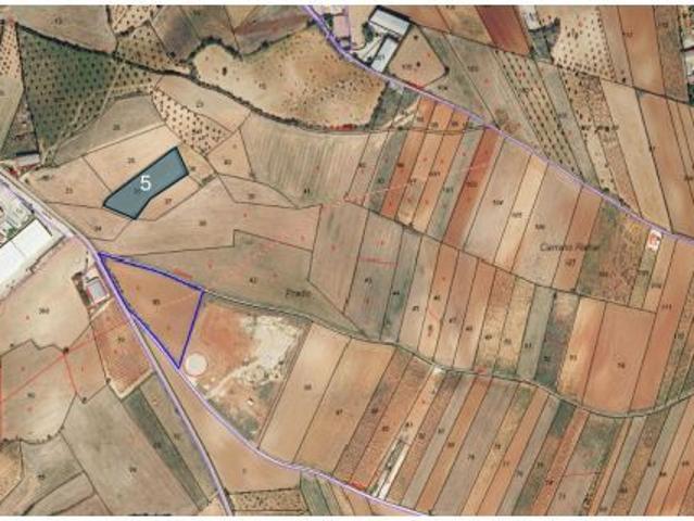 Local Comercial en venta en Mondéjar, Castilla-La Mancha