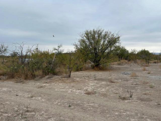Terreno en venta en San Buenaventura, Coahuila