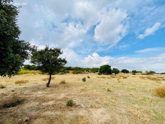 Local Comercial en venta en San Martín De Valdeiglesias