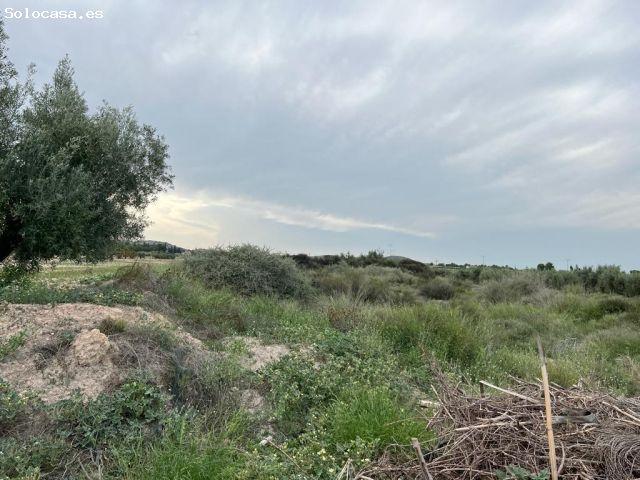 Local Comercial en venta en Balsapintada, Campo de Cartagena y Mar Menor