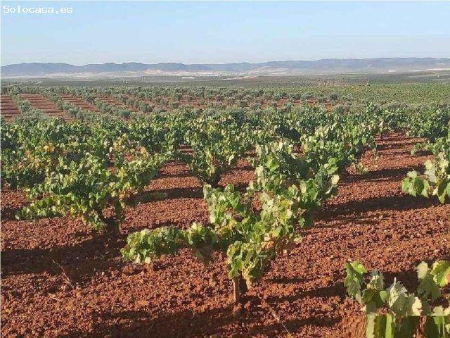 Local Comercial en venta en Tierra de Barros, Extremadura