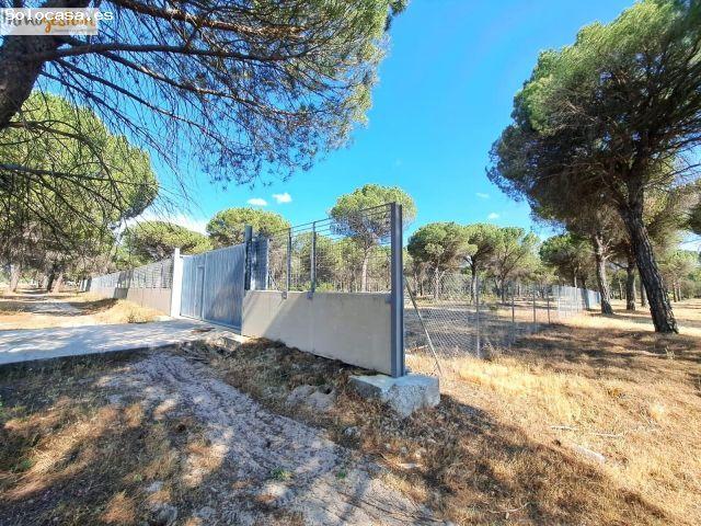 Local Comercial en venta en Urbanización La Coronilla, Boecillo