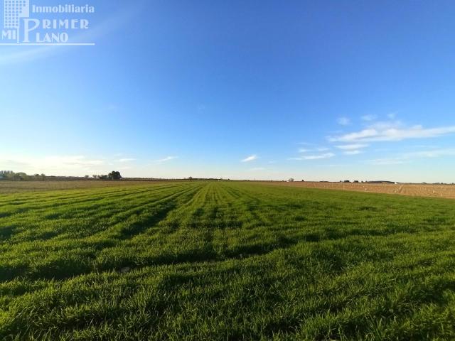 Terreno en venta en Tomelloso, Castilla-La Mancha