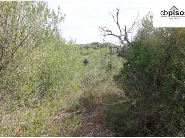 Local Comercial en venta en Pla de Mallorca, Baleares