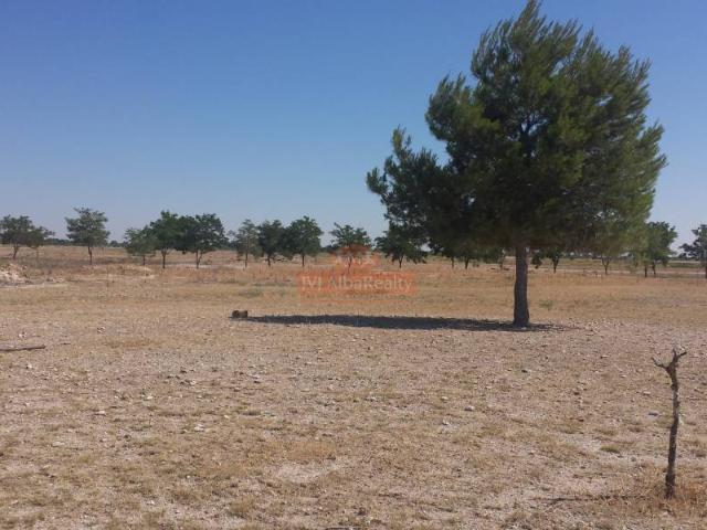 Terreno en venta en Centro, Albacete