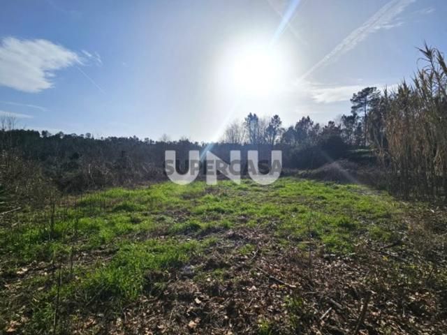 Terreno venda em Viseu