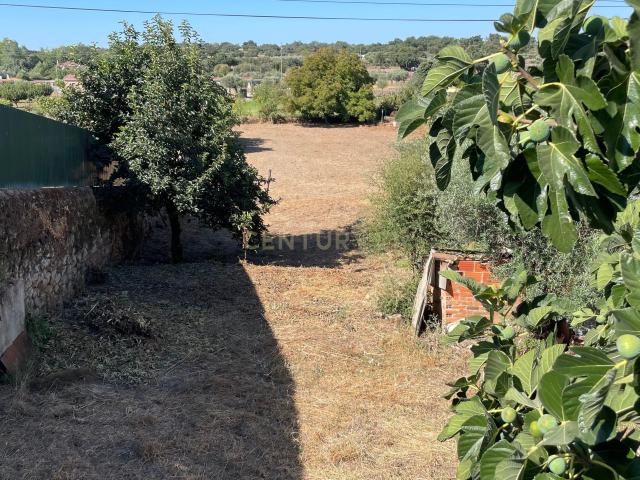 Terreno venda em Castelo Branco