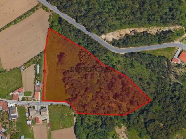 Terreno venda em Santa Maria Da Feira, Aveiro