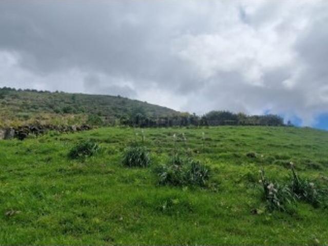 Terreno venda em Espindo, Parada Do Bouro