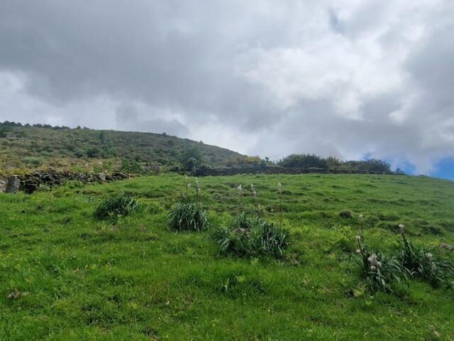 Terreno venda em Gavião, Braga