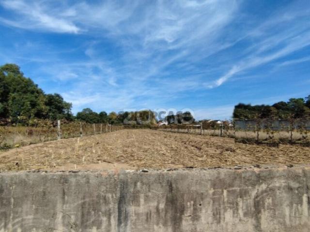 Terreno venda em Areosa do Norte, Estarreja