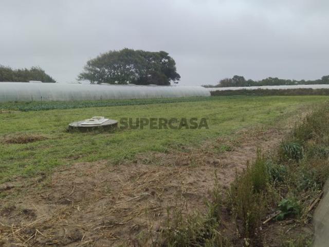 Terreno venda em A Ver-o-mar, Porto